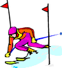 Ski